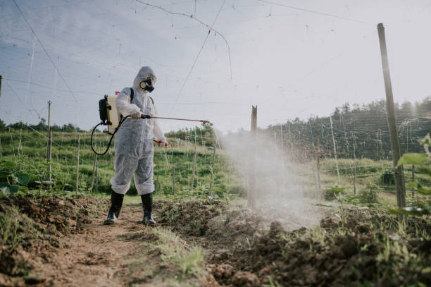 Best Pest Removal Services  in Pegram, TN