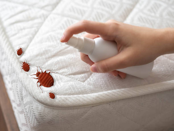 Best Commercial Pest Control Services  in Pegram, TN