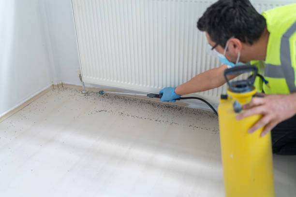 Best Local Pest Control Services  in Pegram, TN