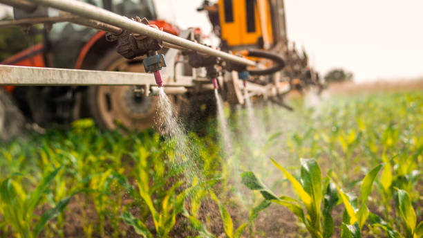 Best Pest Control for Homes  in Pegram, TN
