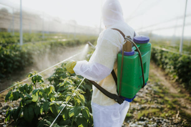 Best Insect Control  in Pegram, TN